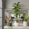 home decor plants
